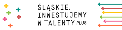 slaskie logo 1